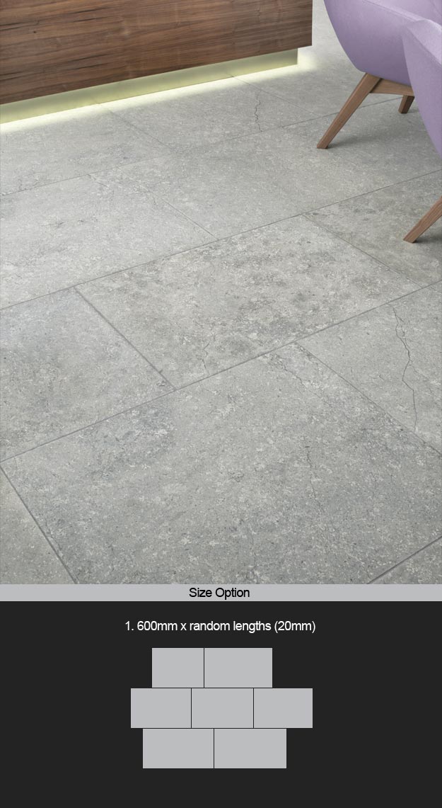Shell Grey Limestone Floor Tiles (95DD)