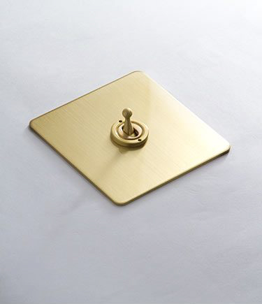 Brushed Gold Electrical Light Switch (123AA)