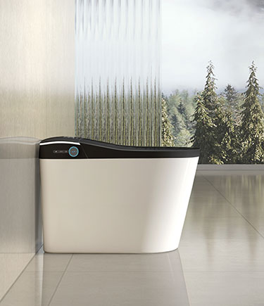 Bi-Colour Voice Activated Smart Toilet (SW5)