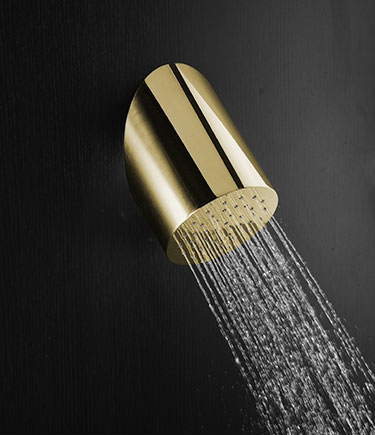 Apex Brass Shower Head (75NBR)