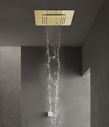 Duet Brass Ceiling Shower Head (78RBR)