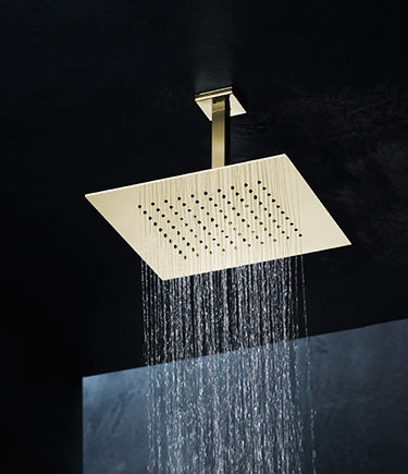 Penthouse Brass Ceiling Shower Head (78TBR)