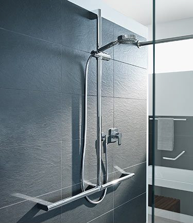 Shower Head Slide Rail Grab Bar (150D)