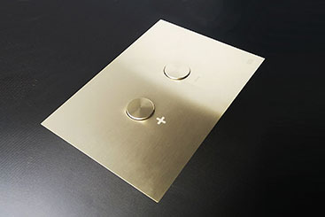 Dot Toilet Flush Plate (54R)