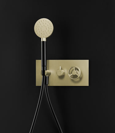 Forge Brass Handheld Shower & Diverter Valve (87NB)