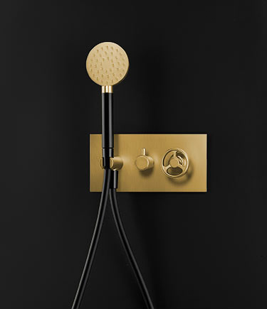 Forge Gold Handheld Shower & Diverter Valve (87NG)