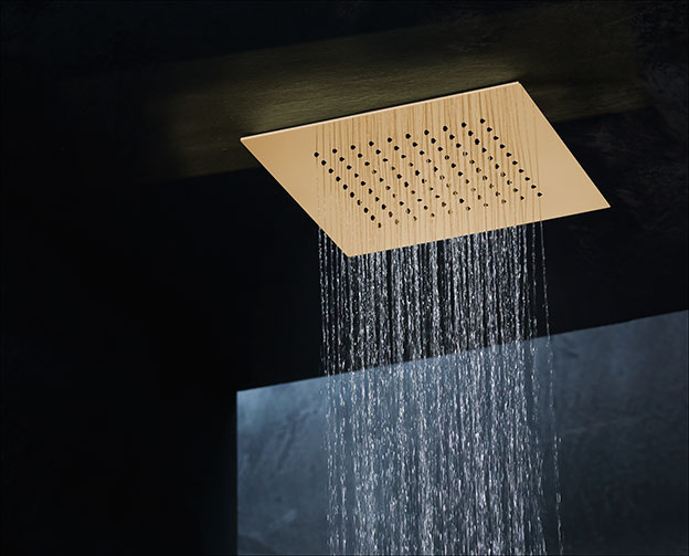 Ceiling mounted on sale shower head