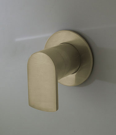 Moca Brass Single Lever Shower Valve (30M)