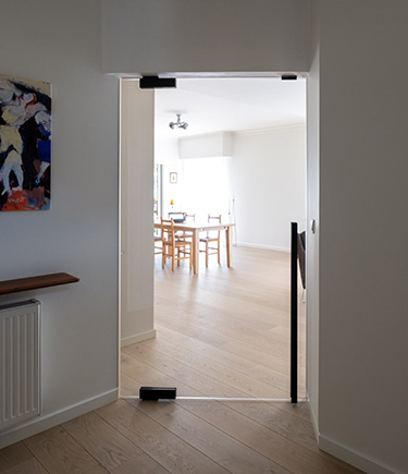 Pivot Frameless Interior Contemporary Door (PVT2)