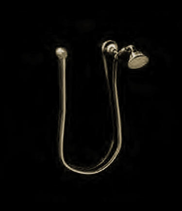 Twist Brass Handheld Shower (47BL)