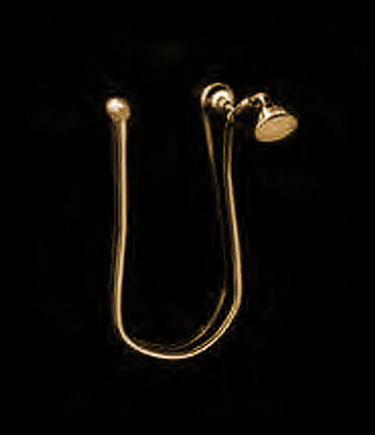 Twist Gold Handheld Shower (47GL)