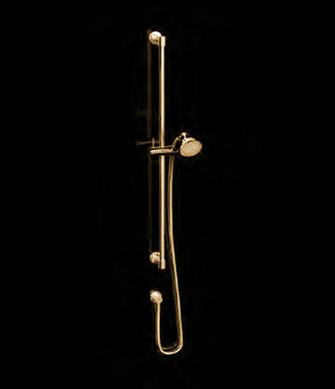 Twist Gold Shower & Slide Rail (47GM)