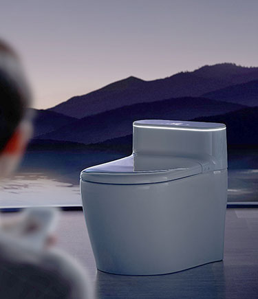 Voice Activated Hygiene Toilet (SW7)