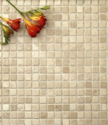 Pearl Stone Mosaic Tiles (112C)