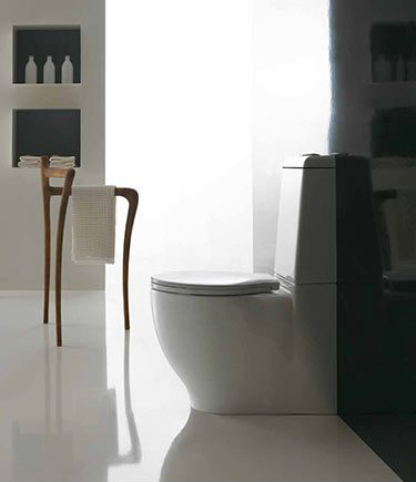 Organic Toilet & Cistern Toilet (9HH)