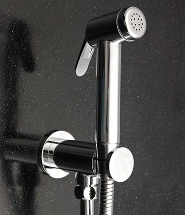 Douche Push Button Hand Shower Head (79E)