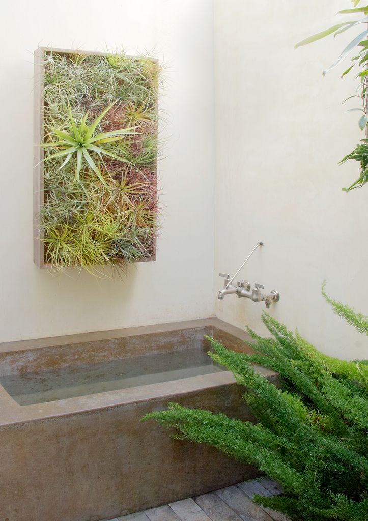 bathroom-plant-1