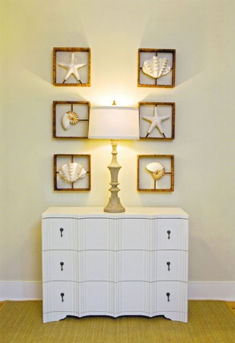 Framed Seashells