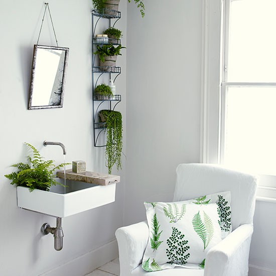 bathroom-ferns