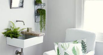 Love plants but not sure how to care for them?
