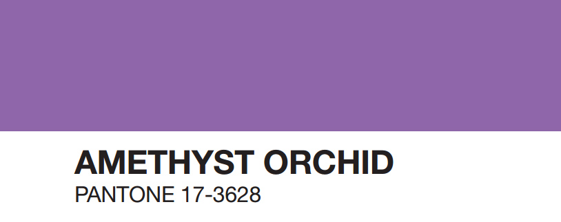 amethyst-orchid