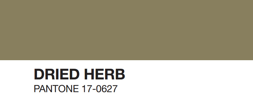 dried-herb