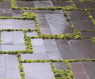 Adventures in garden paving -Livinghouse Blog