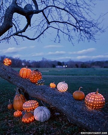 jack-o-lantern-tree