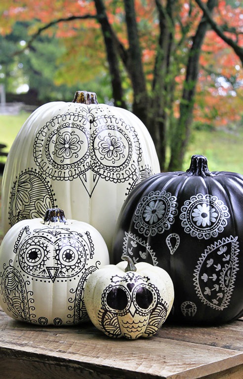 owl-pumpkins